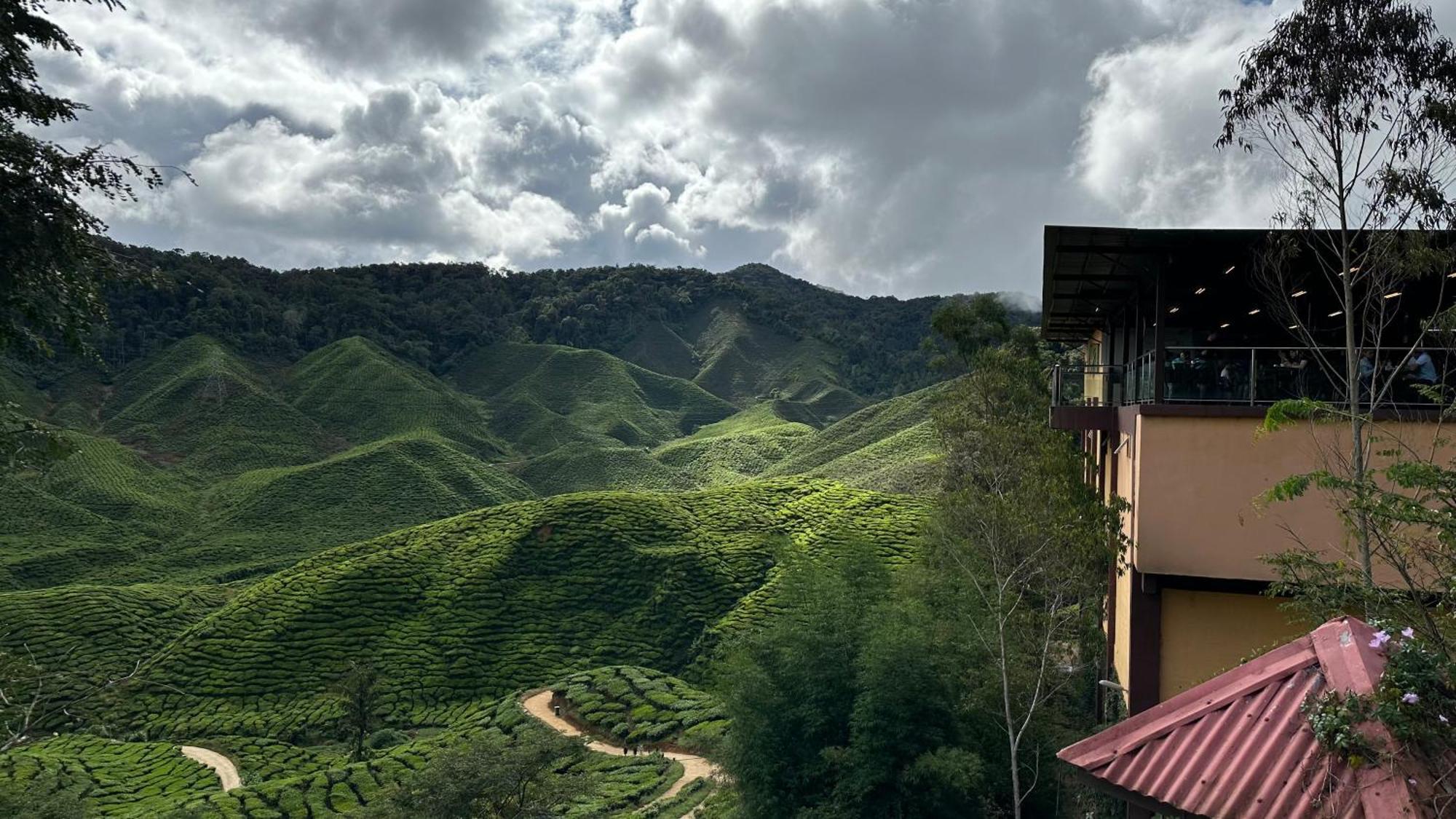 Sweet Homestay 3Rm @ Penthouse Apartment In Brinchang Bagian luar foto